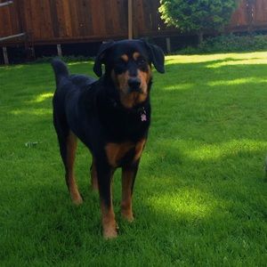 Meet your Posher, Jenny